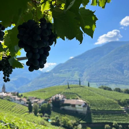 Weingut Eberlehof Apartment Bolzano Exterior photo