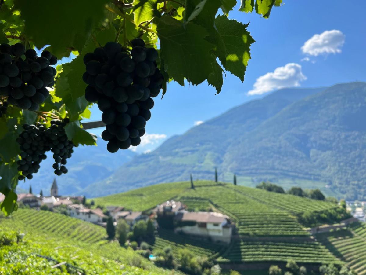 Weingut Eberlehof Apartment Bolzano Exterior photo